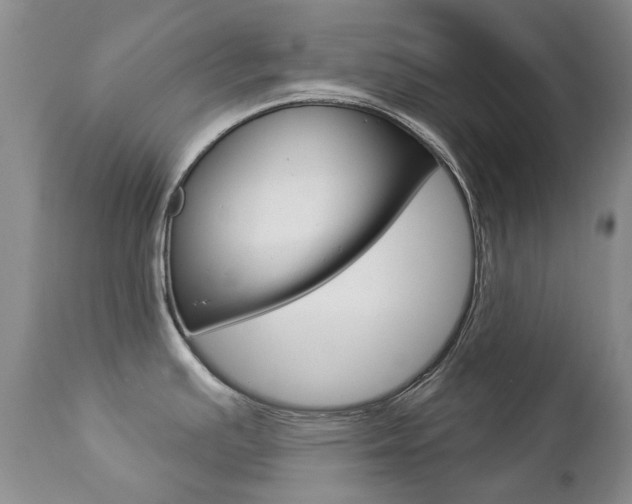 X0000112781391200908201403
