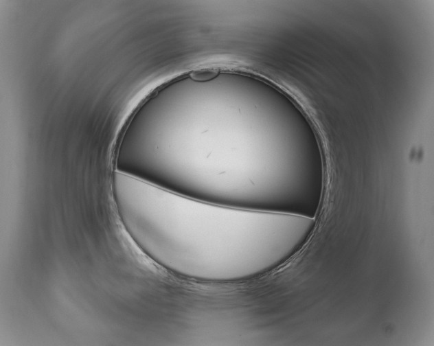 X0000112781392200908201403