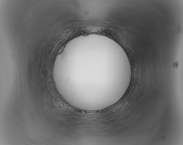 X0000112781393200908201403