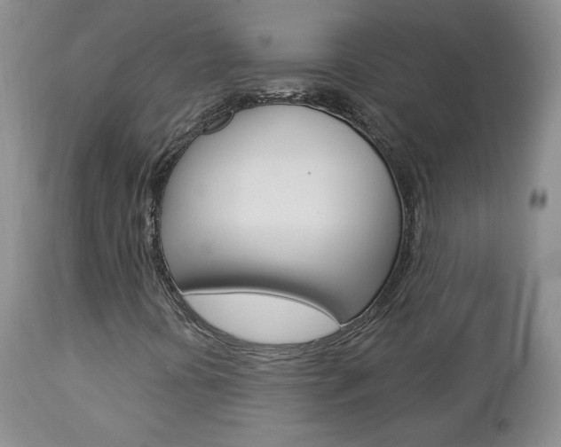 X0000112781394200908201403