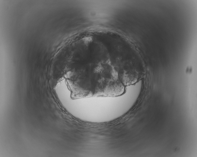 X0000112781397200908201403