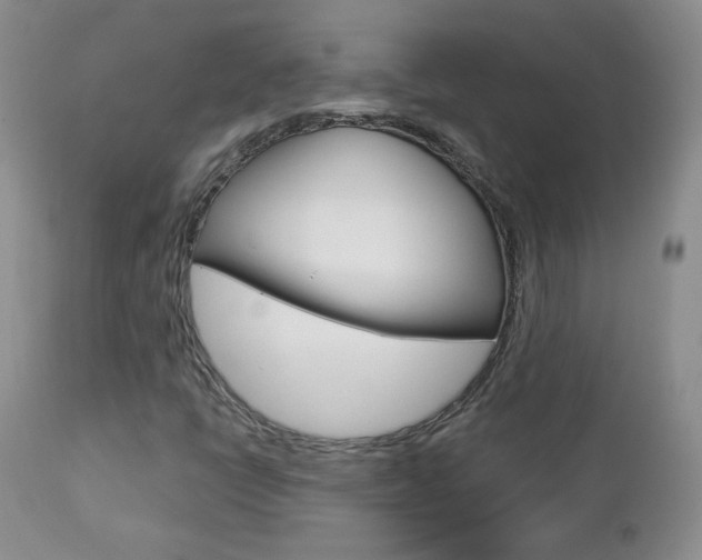X0000112781398200908201403