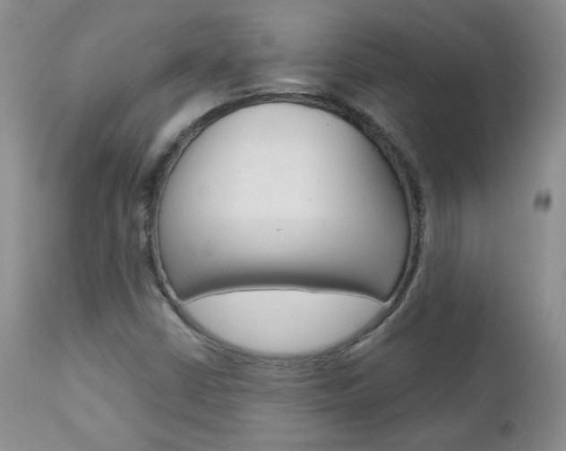 X0000112781402200908201403