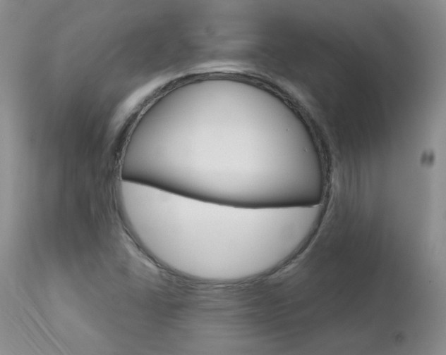 X0000112781406200908201403