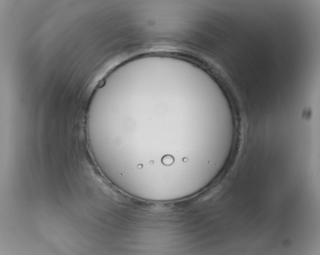 X0000112781409200908201403