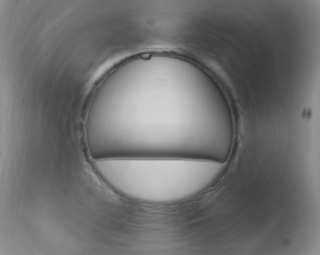 X0000112781412200908201403