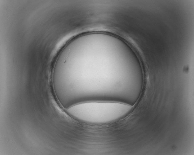 X0000112781416200908201403