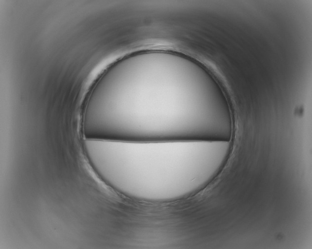 X0000112781424200908201403