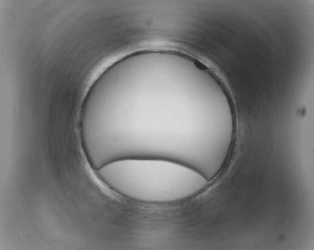 X0000112781429200908201403