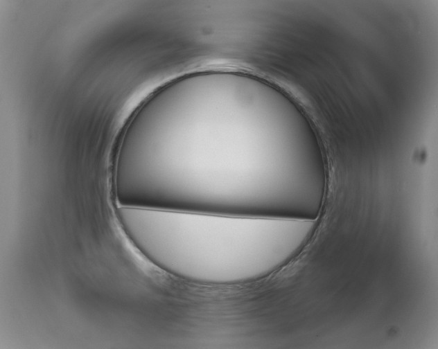 X0000112781430200908201403