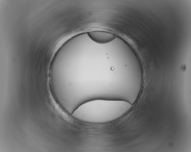 X0000112781431200908201403