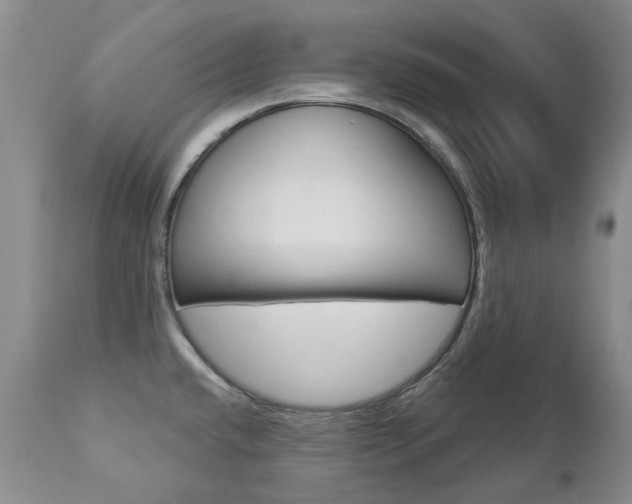 X0000112781432200908201403
