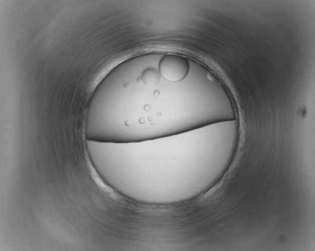 X0000112781433200908201403