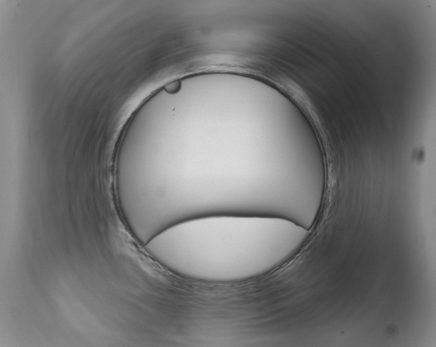X0000112781435200908201403