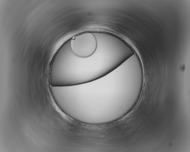 X0000112781437200908201403