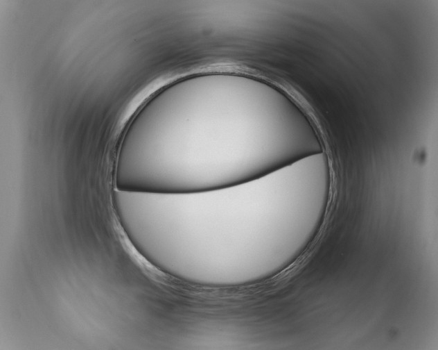 X0000112781438200908201403