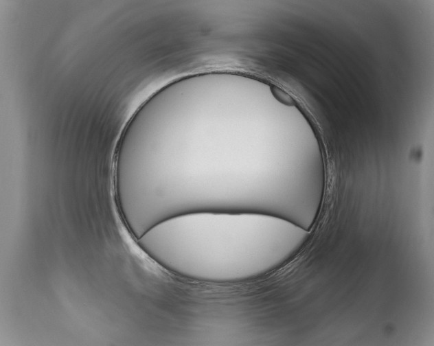 X0000112781439200908201403