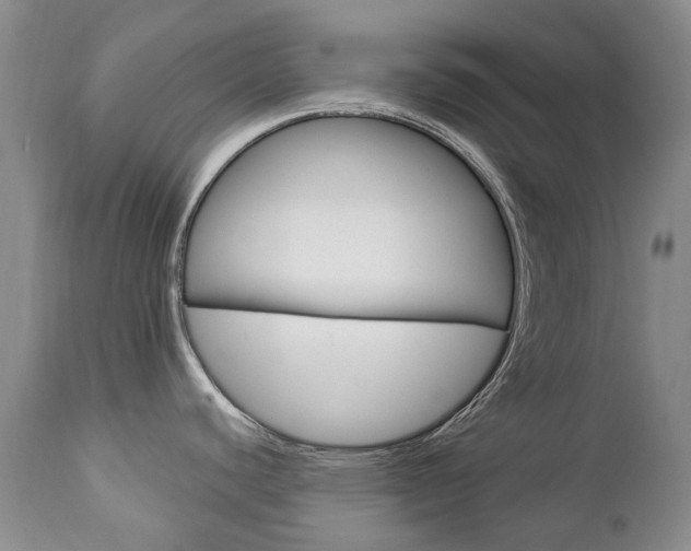 X0000112781440200908201403