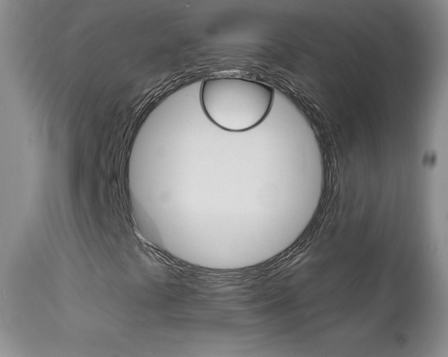 X0000112781441200908201403