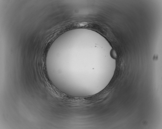 X0000112781442200908201403