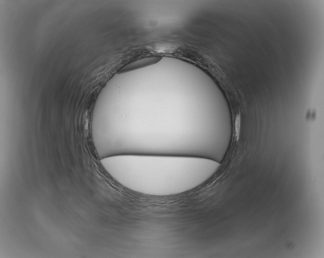 X0000112781443200908201403