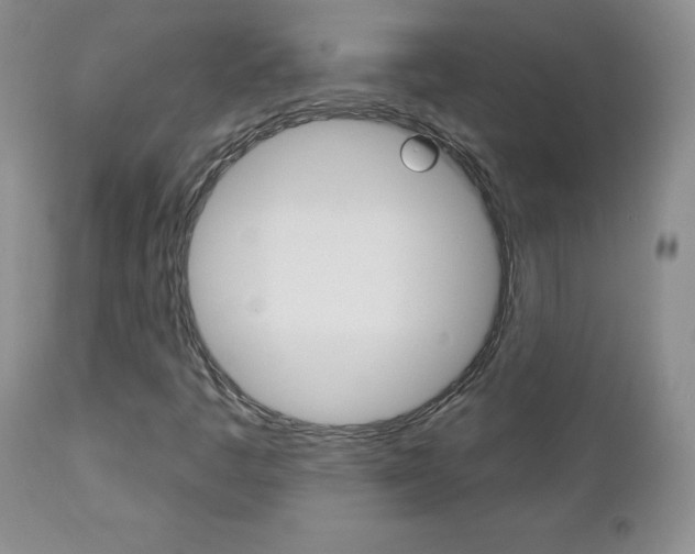 X0000112781445200908201403