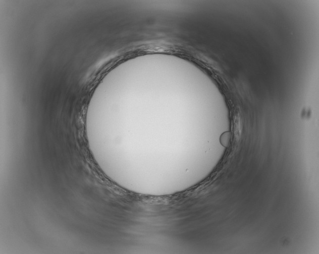 X0000112781446200908201403