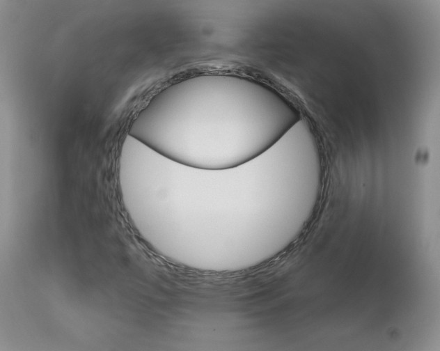 X0000112781447200908201403