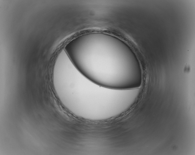 X0000112781448200908201403