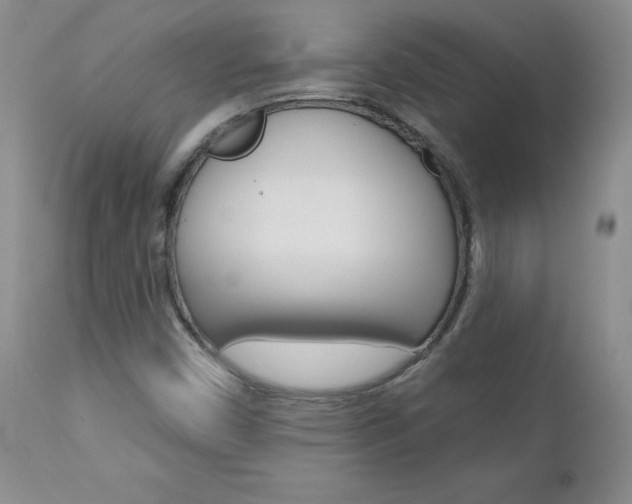 X0000112781450200908201403