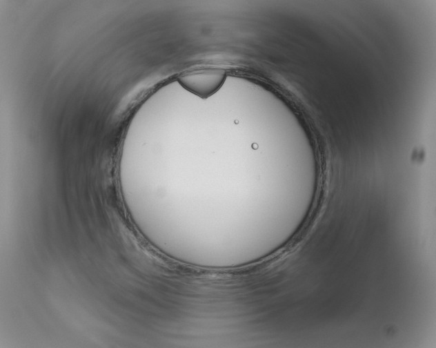 X0000112781451200908201403