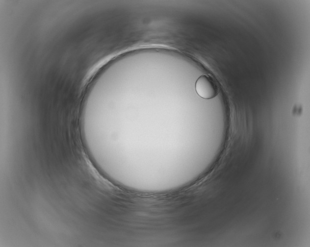X0000112781452200908201403