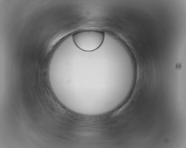 X0000112781453200908201403