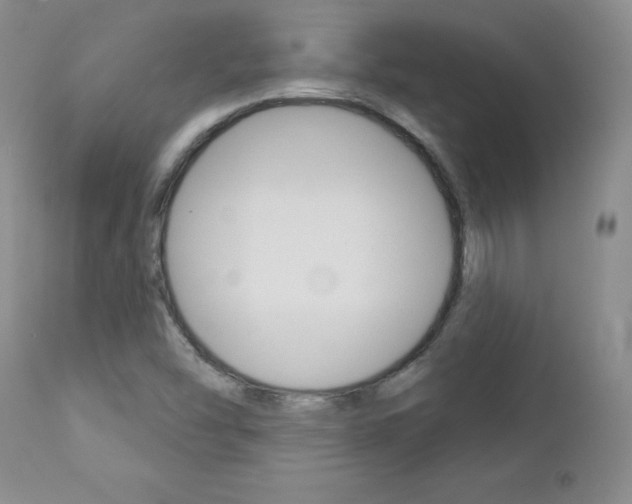 X0000112781454200908201403
