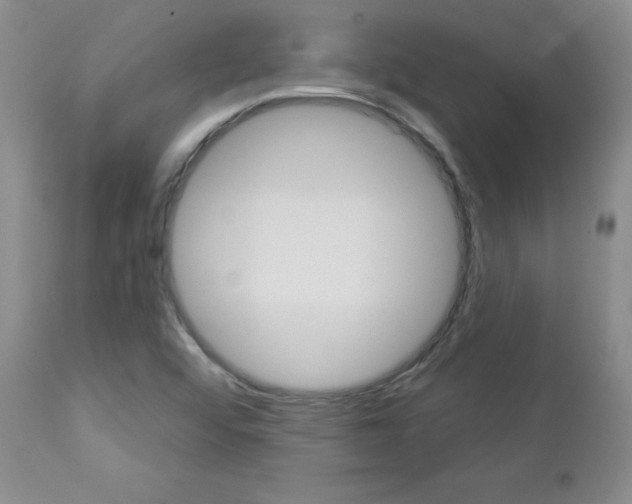 X0000112781456200908201402