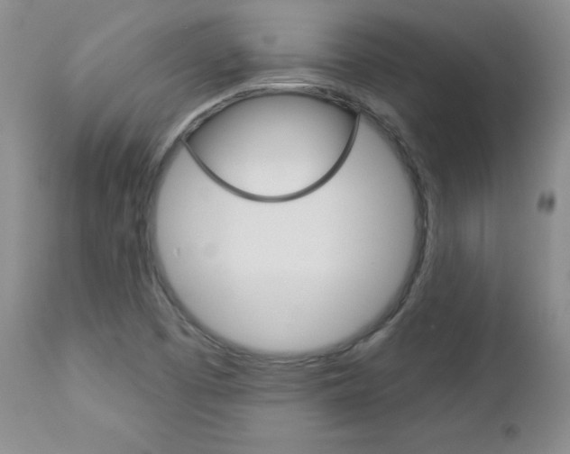 X0000112781457200908201402