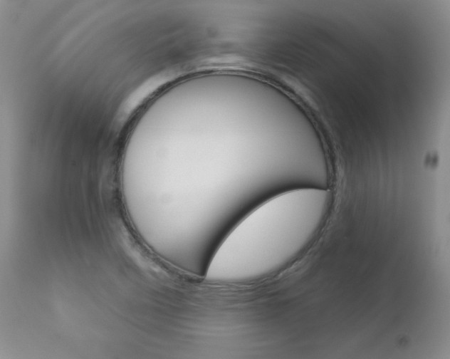 X0000112781458200908201402