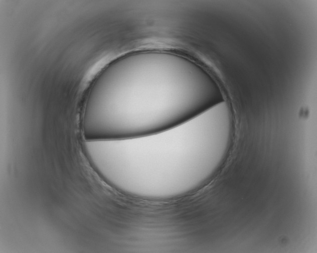 X0000112781459200908201402