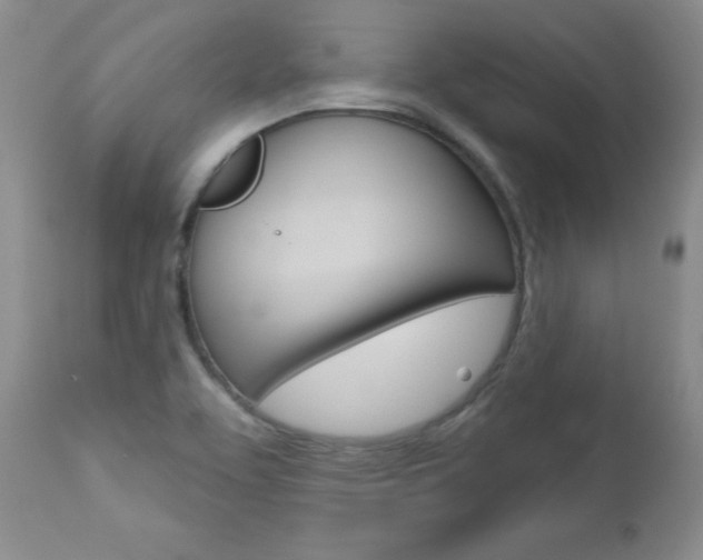 X0000112781463200908201402