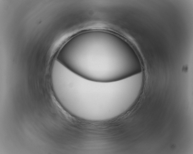 X0000112781464200908201402