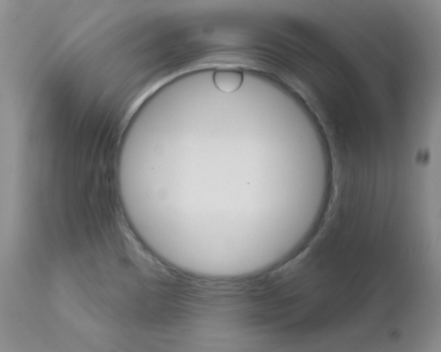 X0000112781465200908201402