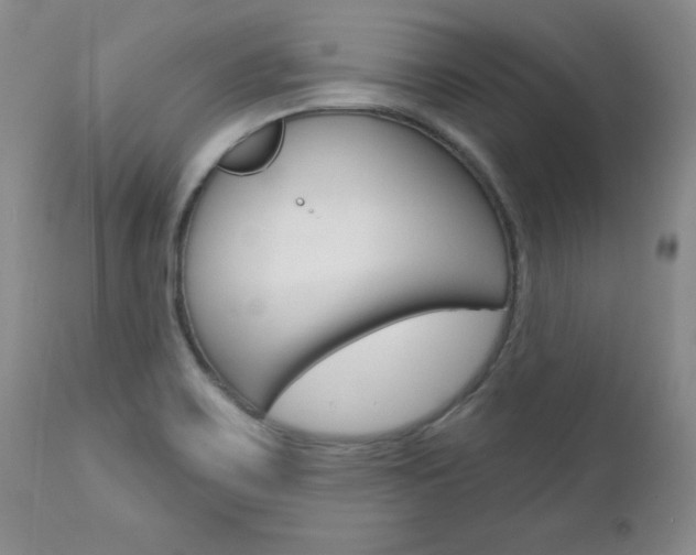 X0000112781467200908201402