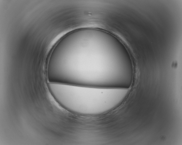X0000112781468200908201402