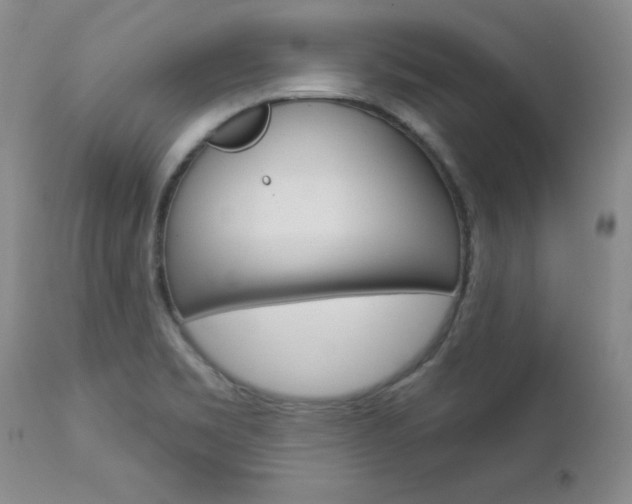 X0000112781469200908201402