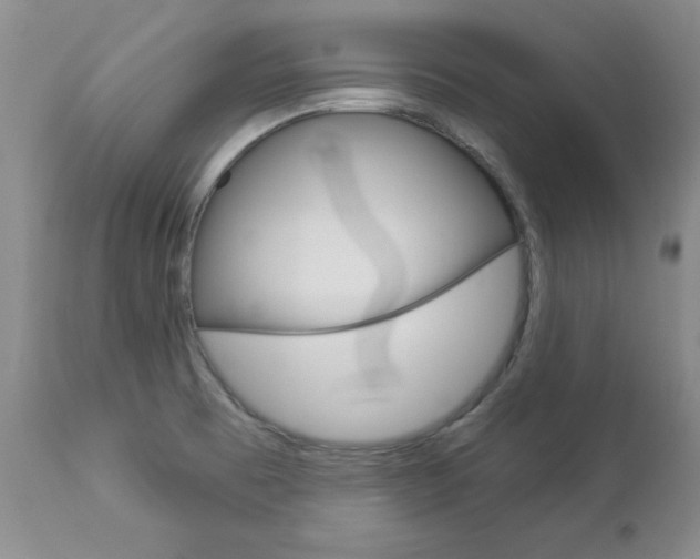 X0000112781473200908201402