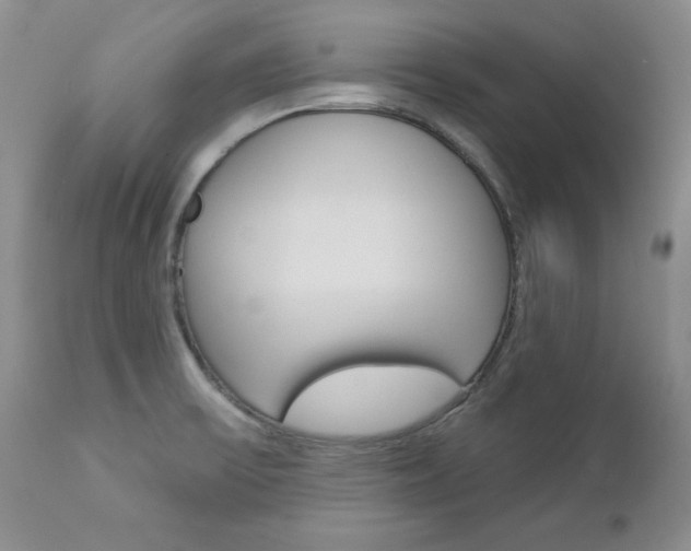 X0000112781475200908201402