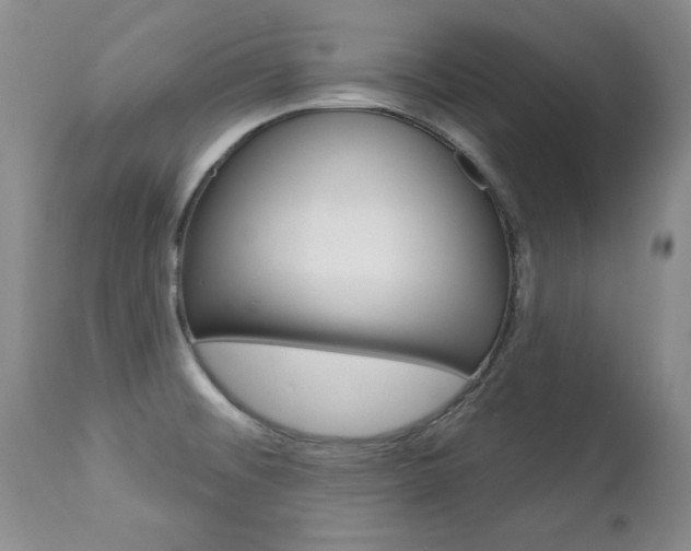 X0000112781476200908201402