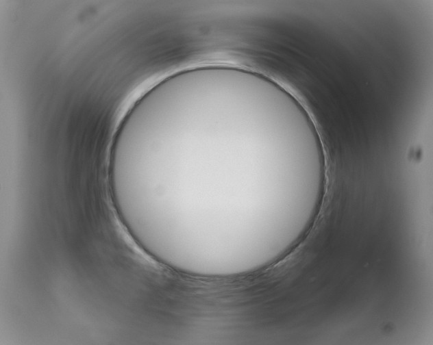 X0000112781477200908201402