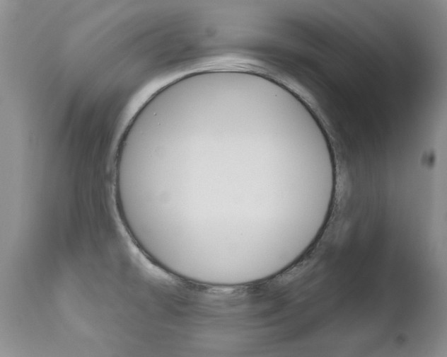 X0000112781478200908201402