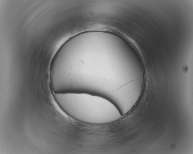 X0000112781479200908201402
